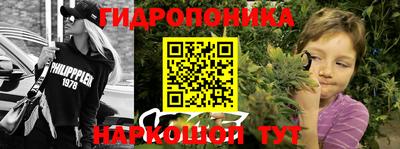 стафф Свободный